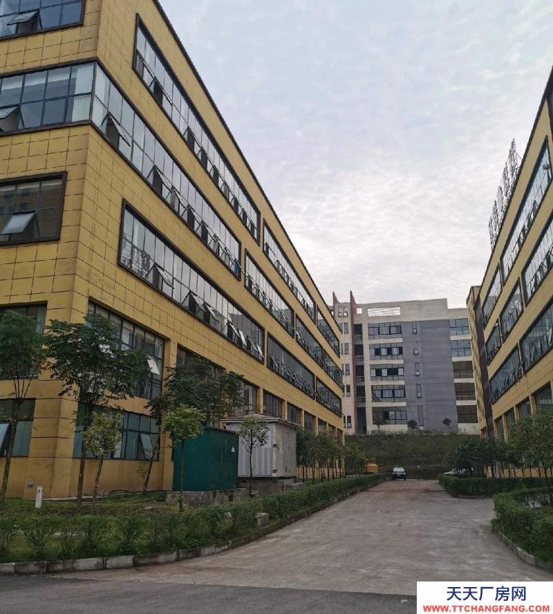 泸州市江阳区标准厂房，层高3.5米，每层2000平米，可分租