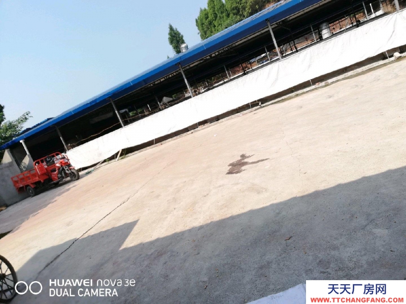 遂宁市安居区步云乡 厂房 6000平米平米养猪场