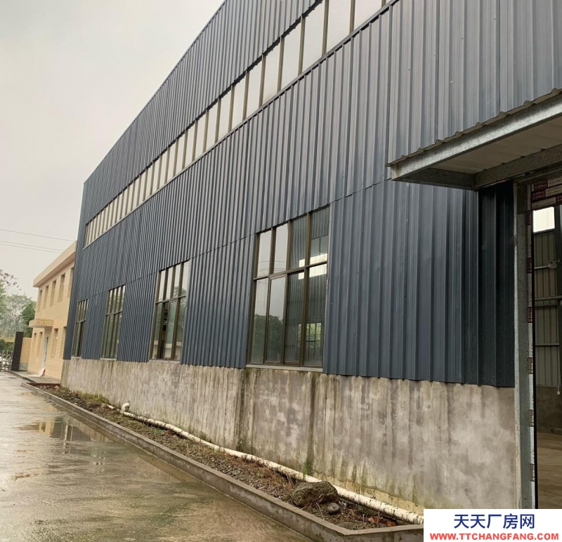 (出租) 江安化工园区钢结构厂房砖结构办公楼出租
