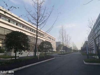 两江新区江渝北 稀缺小户型 实用标准厂房 适合生产研发办公