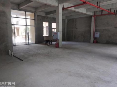 重庆区域单层钢结构 标准厂房 研发楼 办公楼 出租出售
