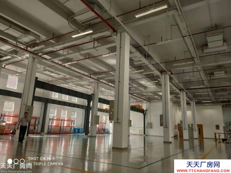 全新厂房出售   产业园直接招商   周边配套完善  面积1100平米至2400