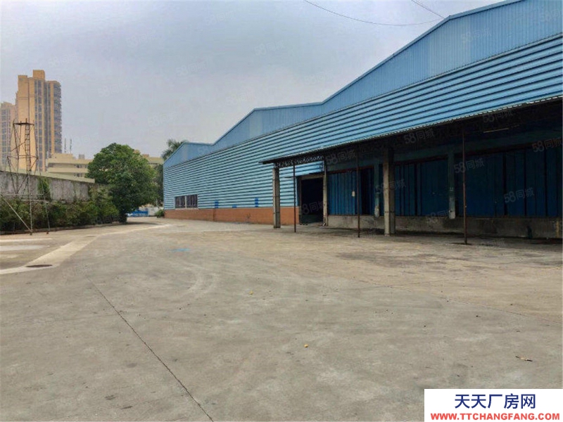 (出租)广州白云大小可分租人和鹤亭工业区1200平米独栋钢构厂房