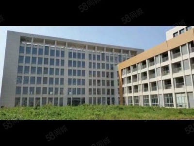 南京市江宁区高淳经济开发区土地43亩2.9万平标准厂房出售5500万