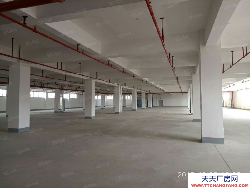 南宁市西乡塘区(出租) 685平标准厂房，适合办公仓储轻加工