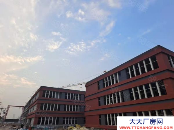 南京市栖霞区低价售 滁州汊河 50年工业厂房 2750平 单层10米高