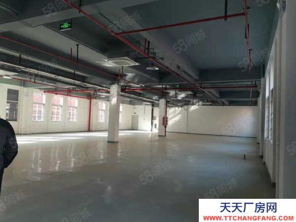 南京市栖霞区新港开发区 恒谊路1号厂房 一到三层 8米挑高 已隔两层