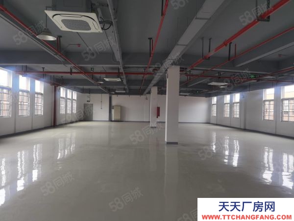 南京市栖霞区新港开发区独立厂房出售 精装修 中央空调