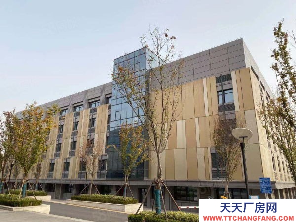 南京市栖霞区新港开发区独立厂房出售 精装修 中央空调