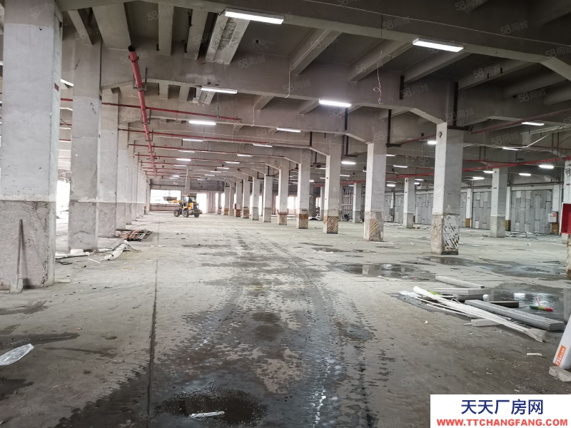 (出租) 南昌青山湖区昌东大道旁大型独院标准钢结构厂房出租