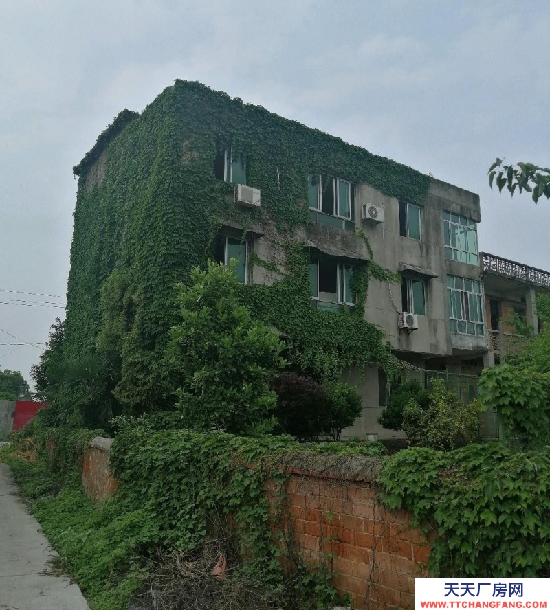 (出租) 南昌东湖区独栋民房，可做仓库或小型加工价格实惠。