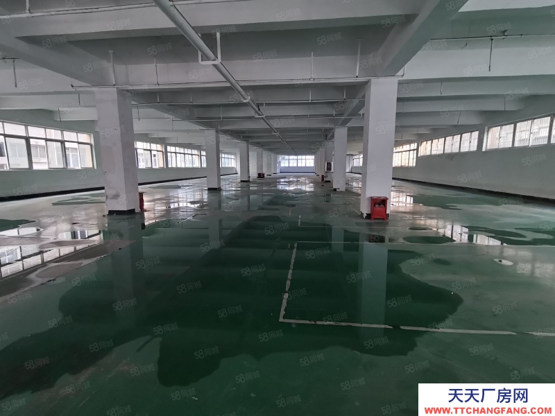 杭州西湖(出租) 西湖科技园新出1450方 可生产 仓储 电商 研发 产证齐全