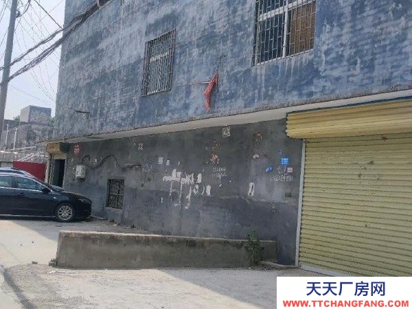(出租) 郑州中原房东直租全市可售。