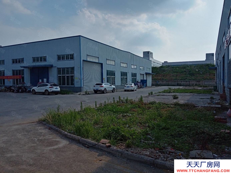 (出租) 合肥蜀山3500平钢结构厂房，需要生产型企业