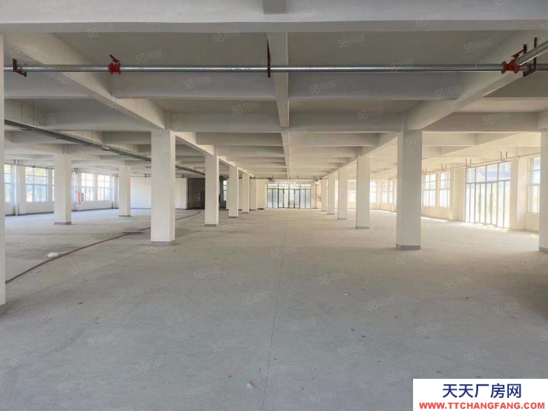 (出租) 合肥蜀山四季花海旁边框架厂房厂房可分租可整租每层约2000平