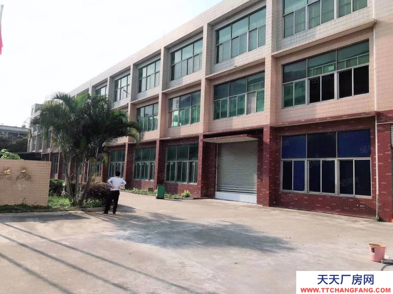 (出售) 广州白云江高工业区独院厂房8100平方出售