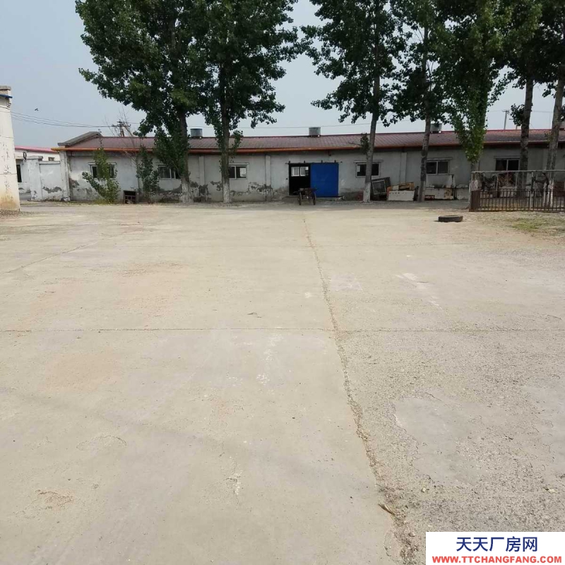(出租) 天津宁河仓库 厂房 养殖场 养殖用地 （建设用地 可建房）可分租