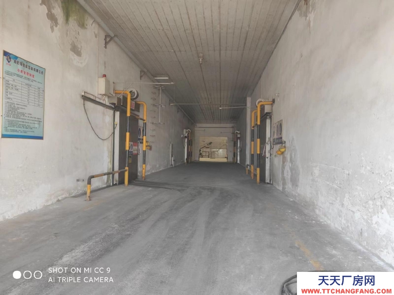 海阳市出租冷库 公司富裕资源，10000吨大型冷库对外招租。