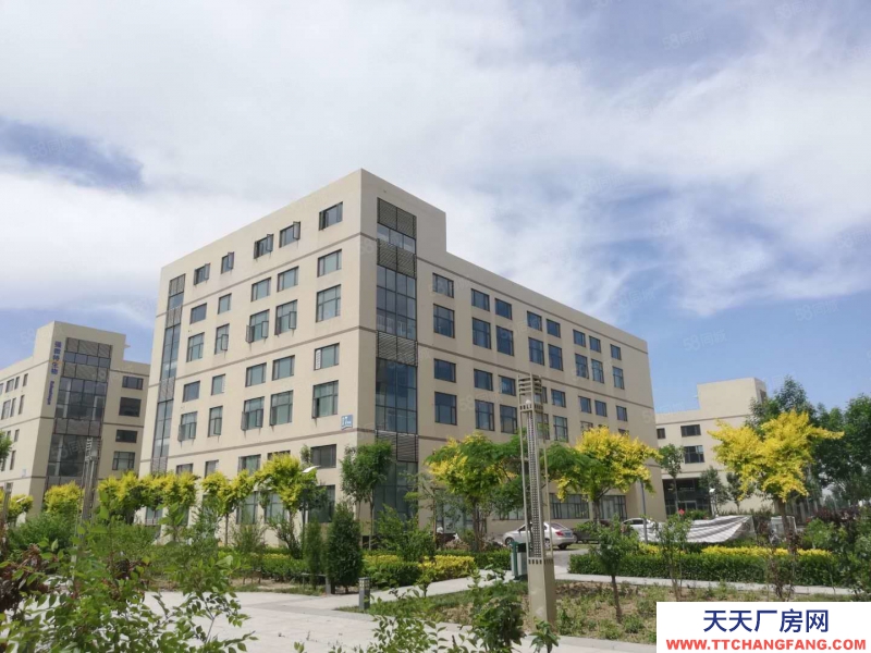 (出租) 天津塘沽高新区办公室出租 可注册生产企业 有环评