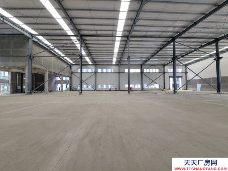 出租青白江全新单层钢结构厂房 11米层高 现房随时入驻