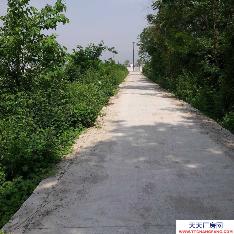 (出租) 汉中勉县江湾向东1千米汉江边厂房、住宅、农家乐用房