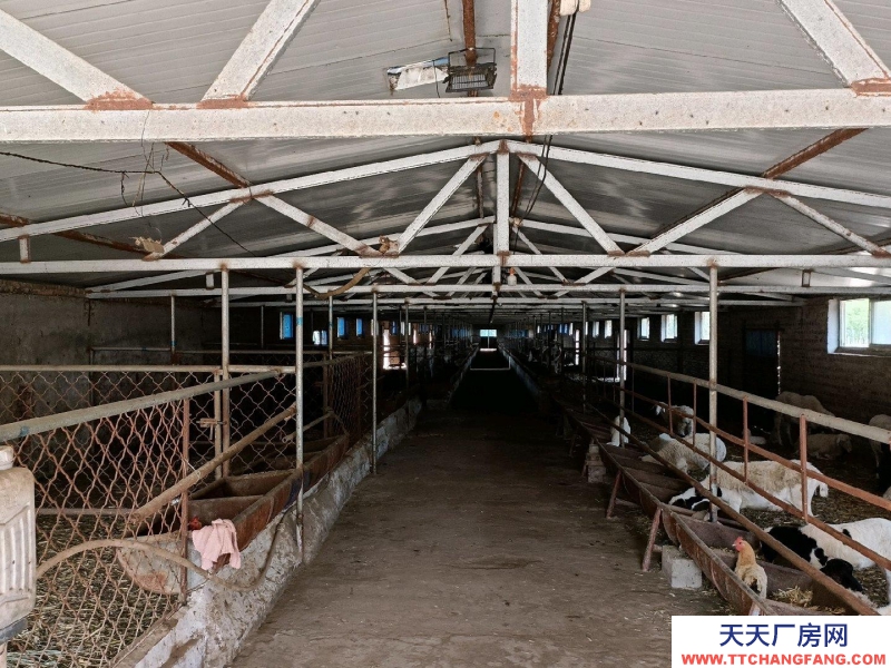 (出租) 养殖场在榆社县和平村。养殖业优选，方便养殖牛羊