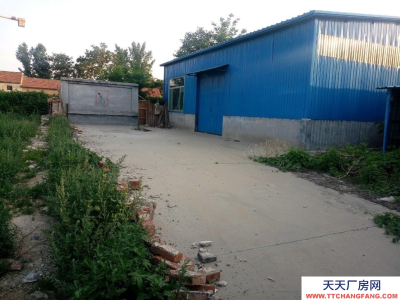 滨州邹平史营村400平方钢结构大棚，附带民房，可用做仓库，水电齐全，