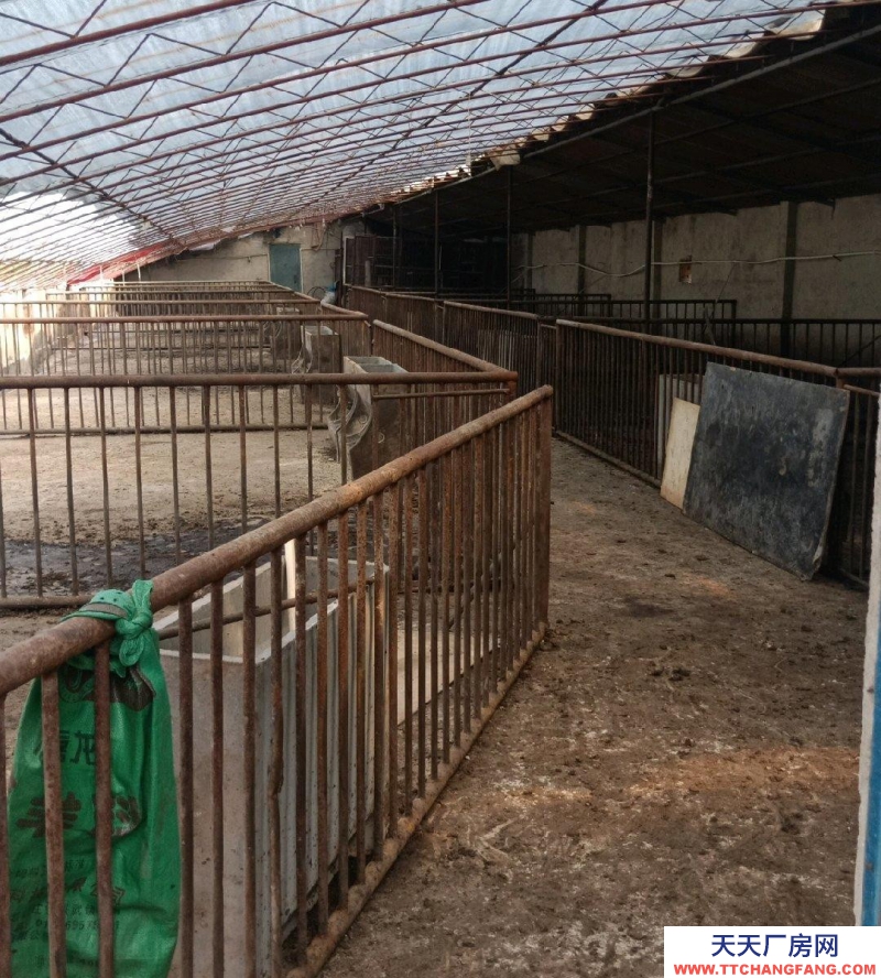 (出租) 猪场养殖专用水电方便年租