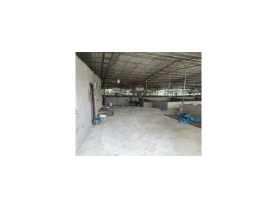 (出租) （51旺铺）桂林市秀峰4000平大型养猪场出租设备设施齐全图3