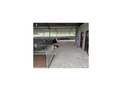 (出租) （51旺铺）桂林市秀峰4000平大型养猪场出租设备设施齐全图2
