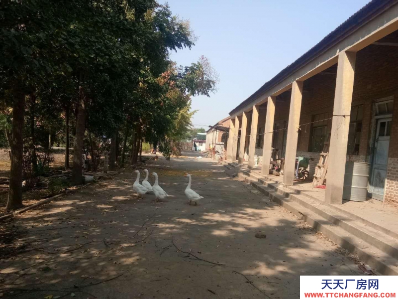 (出租) 徐州新沂27间大教室，原来的学校适合物资仓库
