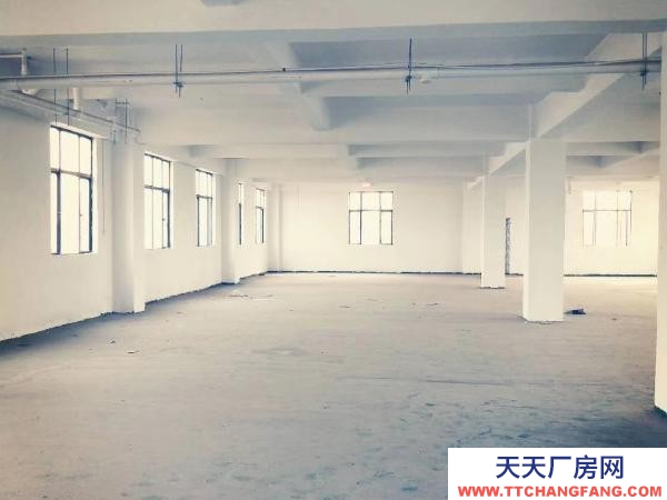 宜春市丰城茶类饮料厂房  宽敞明亮大厂房对外租赁