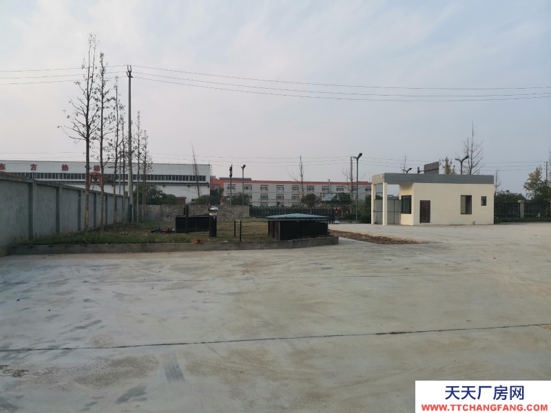 蒲江食品产业园标准钢结构厂房2400平米出租