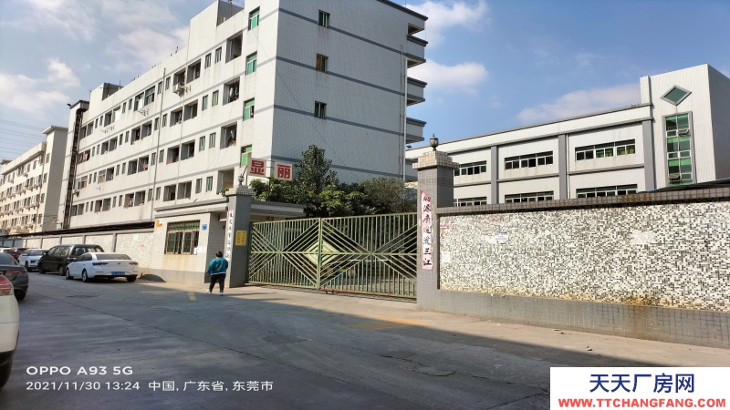 东莞市凤岗镇３０００平方米红本全新六楼厂房出售
