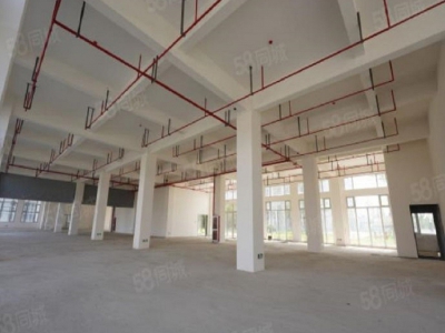 出售杭州全新独栋厂房，只售4000多，高速轻轨环绕，生活配套齐全图7