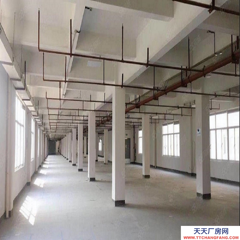 出售杭州3000方全新厂房，单价3450起，首付2层，三证齐全，独栋分层皆可选