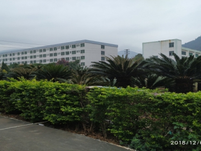 广东省东莞市塘厦镇２６０００平方高台仓库出租图2