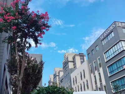 独户现房-庐阳区-高端都市产业园