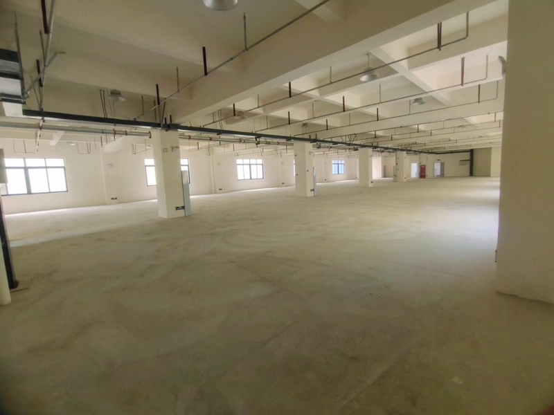 龙泉区全新框架厂房 带货梯 带卫生间 可分租