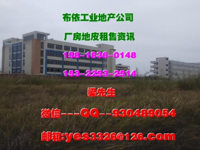 惠州市惠阳区三和镇１３２００平方单层全新厂房出租图2