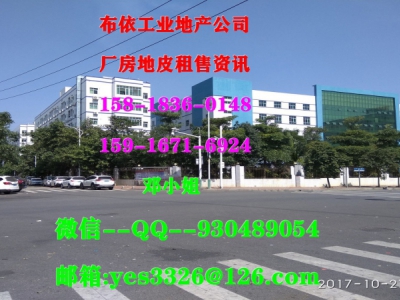 肇庆市四会市１０万平方单一层标准平台仓库出租图3