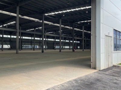 厂房招租，约10万㎡单层钢结构标准厂房，欢迎实地考察图2