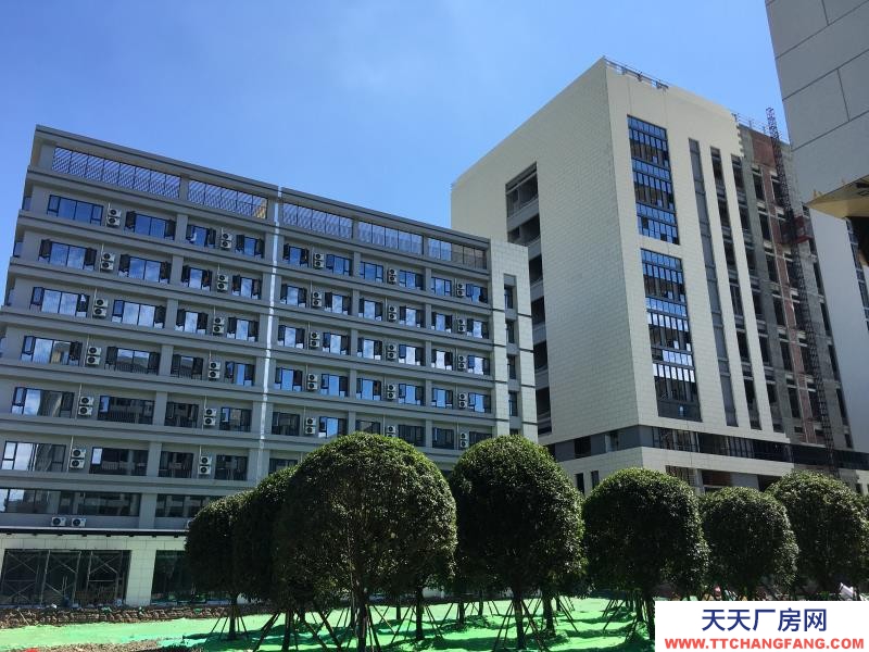温江医药厂房现房出租，政府租金优惠扶持
