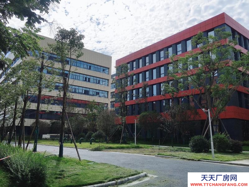 温江医药厂房现房出租，政府租金优惠扶持