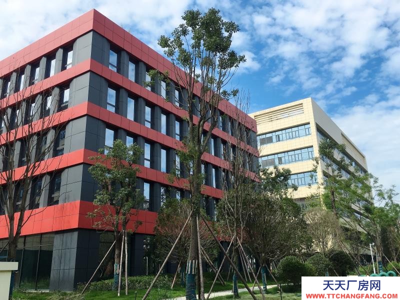 温江医药厂房现房出租，政府租金优惠扶持