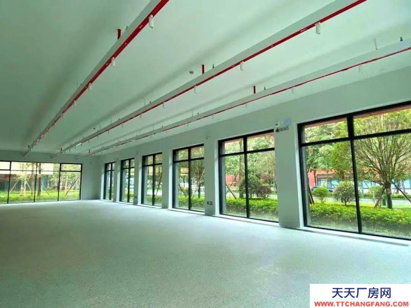 温江医药厂房现房出租，政府租金优惠扶持
