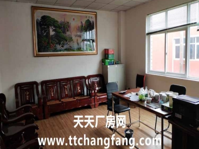 新津调味品食品厂带证转让出租图2
