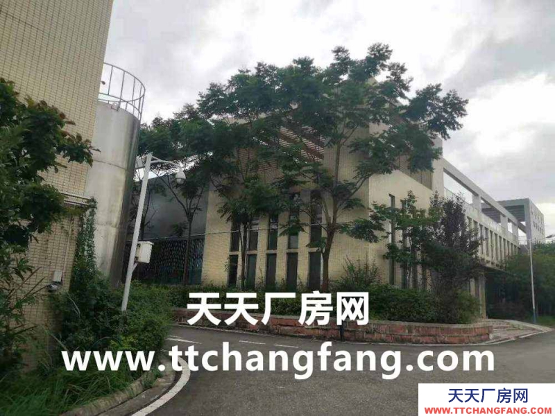 金堂食品厂房出租，金堂食品车间出租