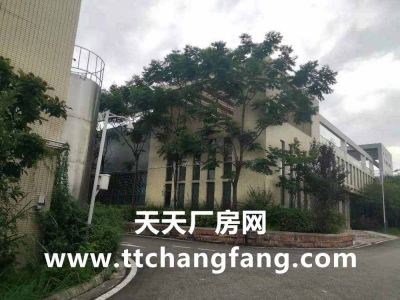 金堂食品厂房出租，金堂食品车间出租图2