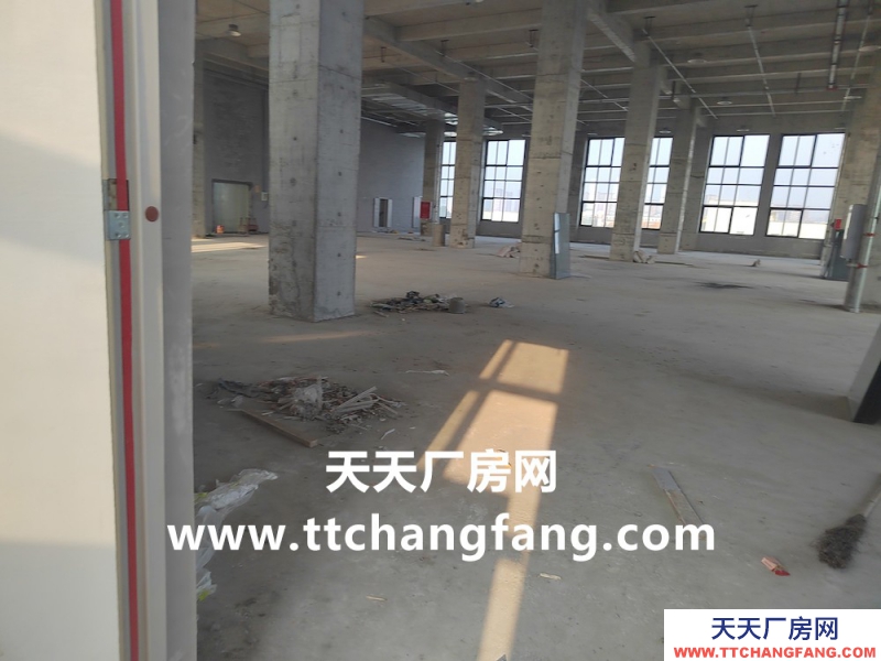温江全新食品标准厂房出租